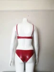 Latex Two Piece Set with Low Waist Briefs and Round Cup Bra