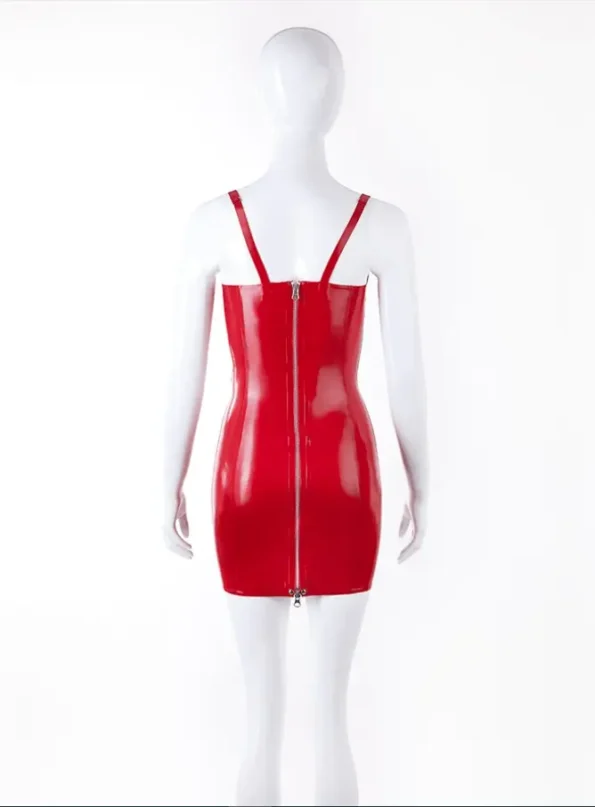 Casandra Cup Latex Mini Dress